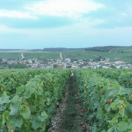 Une Parenthese En Champagne Jaucourt Zewnętrze zdjęcie
