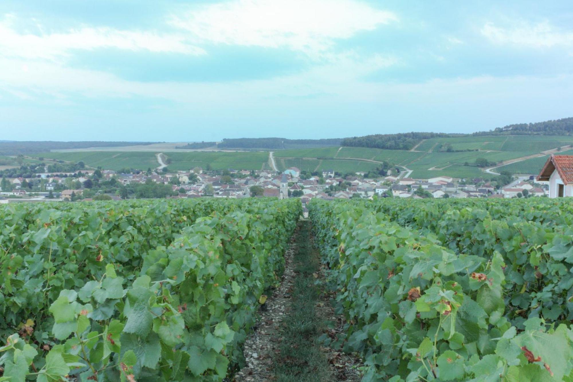 Une Parenthese En Champagne Jaucourt Zewnętrze zdjęcie